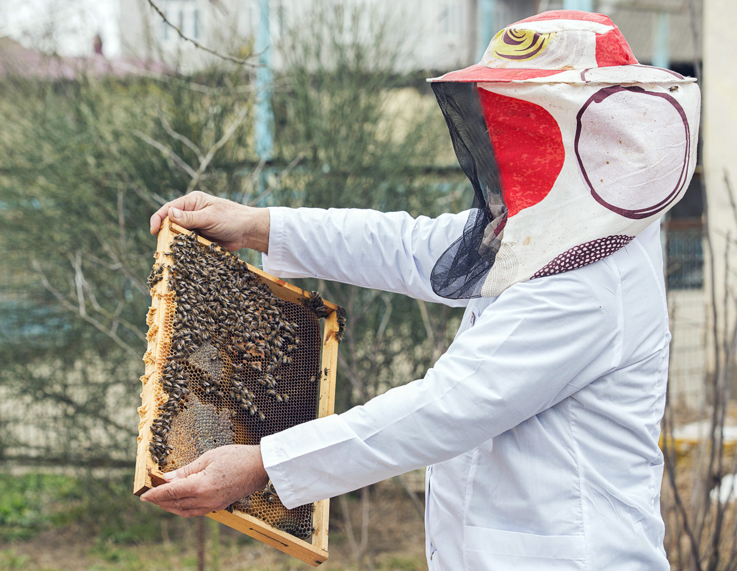 Honey Bee Pest Control<br />
Honey Bee Pest Control near me<br />
Honey Bee Pest Control in dubai<br />
Honey Bee Pest Control price in dubai<br />
honey bee removal pest control in dubai<br />
Honey Bee Pest Control service<br />
Honey Bee Pest Control in Sharjah<br />
Honey Bee Pest Control in Ajman<br />
