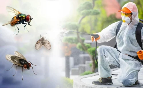 Flies Pest Control<br />
Flies Pest Control Treatment in Dubai<br />
Flies Pest Control near me<br />
flying pest control in house<br />
Flies Pest Control Treatment in Sharjah<br />
