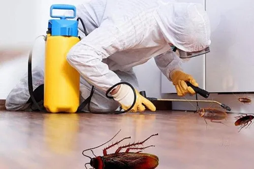 bed-bugs-pest-control-service-500x500 bed bugs pest control service 500x500 1