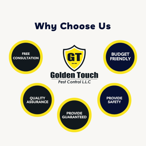 Why Choose Us